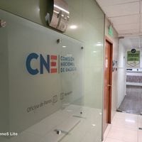 CNE rechaza solicitud levantada por ONG ambientalistas para invalidar norma de gas inflexible