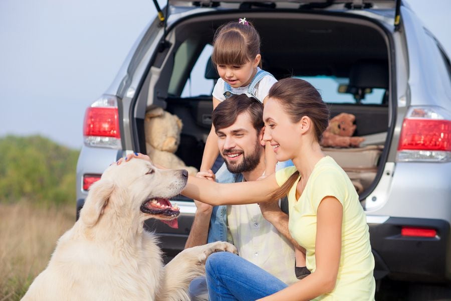 Sixt Chile es el primer Rent a Car Pet Friendly del país