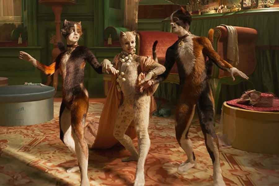 cats