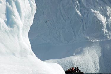 No solo el cambio climático: Estudio determinó cómo el turismo y la investigación científica dañan y contribuyen a derretir la Antártica 