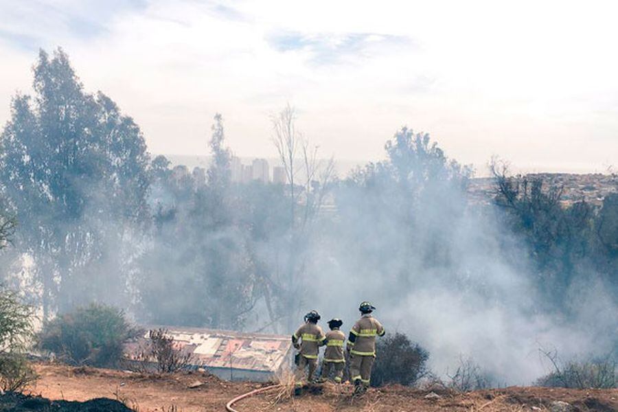 incendio-vina