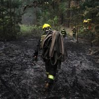 Incendios forestales en el Maule: Senapred declara alerta roja en Retiro, Parral y San Javier