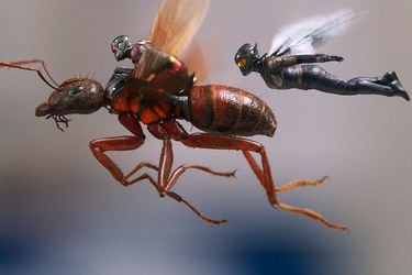 ant man wasp
