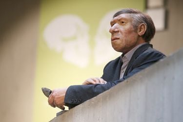 Neandertales y el debate científico de si fueron capaces o no de crear arte