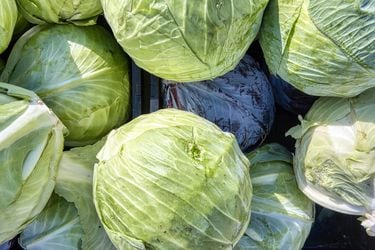 9 verduras de invierno y cómo aprovecharlas
