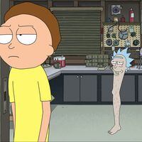 Con nuevas voces: el tráiler de la temporada 7 de Rick and Morty