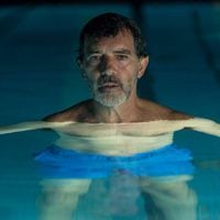 De Almodóvar a Andrés Wood: la disputa por el Oscar Internacional
