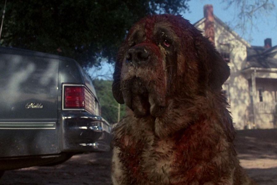 cujo