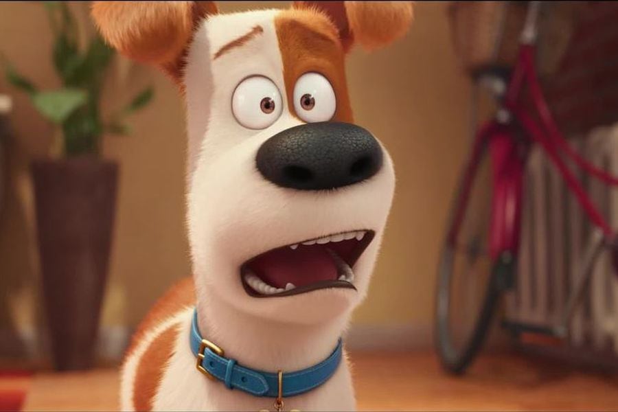 La vida secreta de tus mascotas 2 estrenó su tráiler - La Tercera La vida secreta de tus mascotas 2 estrenó su tráiler - La Tercera