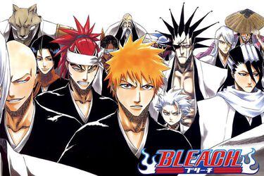 The Bleach