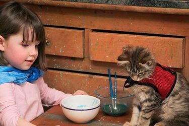 niña con autismo y gato