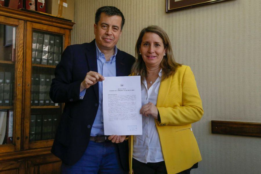 diputados ok