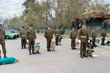 Parada Militar 2023: revisa las postales de la ceremonia y el desfile de cachorros policiales 