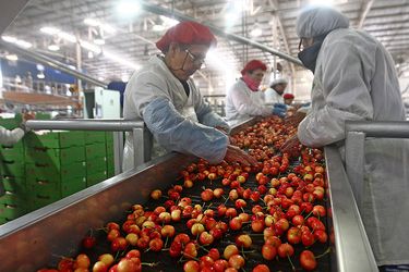 Productores mundiales piden a las autoridades y organismos multilaterales declarar frutas y verduras frescas como bienes estratégicos