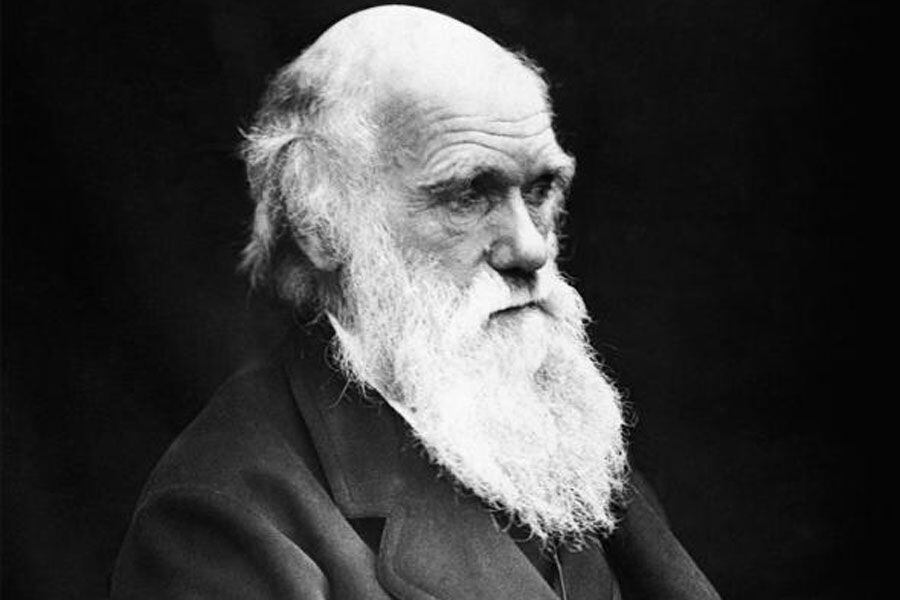 El viaje de Darwin a Chiloé que podría haber reescrito la historia de la evolución