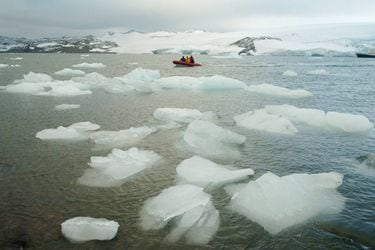 Antártida: científicos alertan que está altamente contaminada con nicotina y antidepresivos