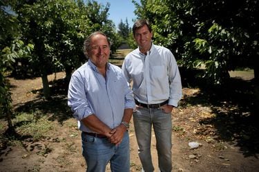 “El negocio de la cereza chilena existe por China; sin ellos, habría muy pocas en el país”
