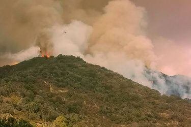 Onemi decreta Alerta Roja comunal para Valparaíso por incendio forestal que ha devastado 30 hectáreas en Cuesta Balmaceda