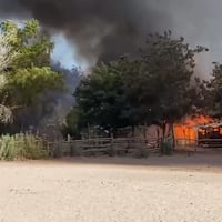 Declaran alerta roja para Salamanca por incendio forestal: se reportan viviendas quemadas