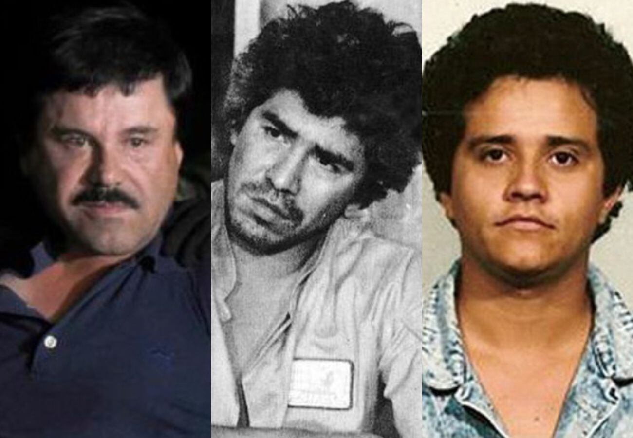 Cuáles son las enfermedades que tienen los jefes del narco - La Tercera