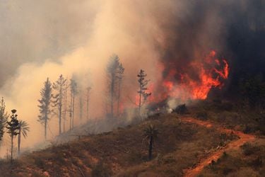 Efecto de la lluvia: incendios forestales durante julio disminuyen un 80% y superficie afectada un 100%