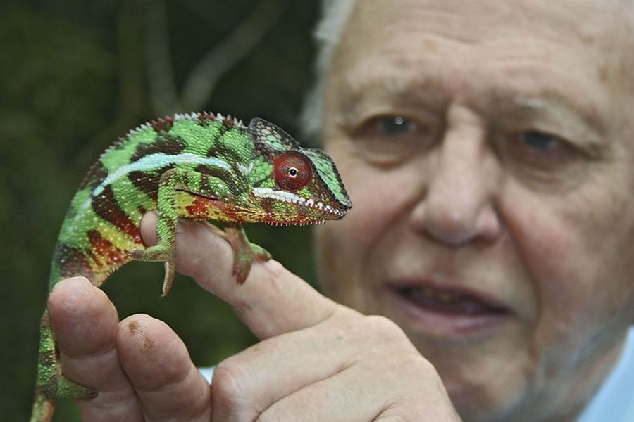 David Attenborough