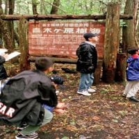 La triste historia del bosque japonés donde Logan Paul grabó un suicidio