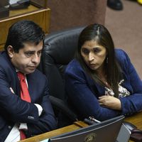 Suprema entrega informe desfavorable por proyecto contra la desinformación de senadores Fabiola Campillai y Pedro Araya