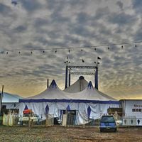 El viaje de Chítaro: El último León de circo