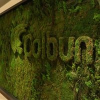 Colbún aumenta certificación de energía renovable para sus clientes respecto del 2022