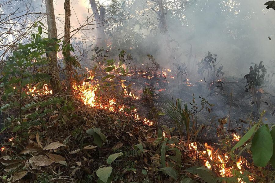 Incendio amazonía