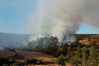 incendio forestal valle hermoso