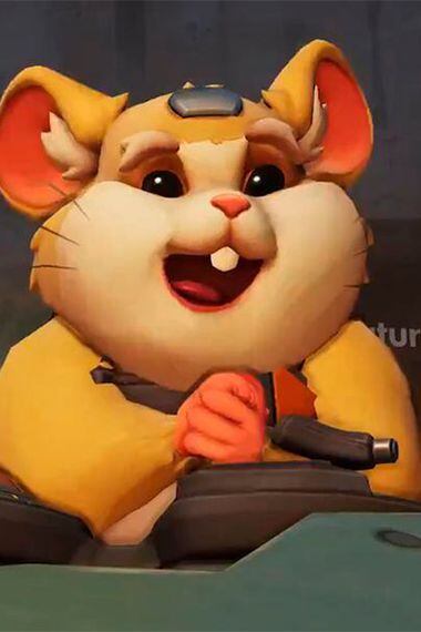hamster