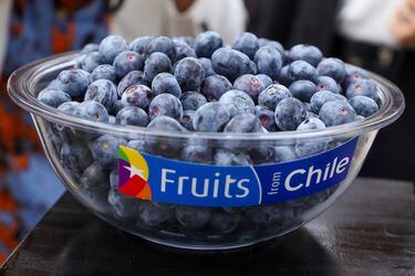 Arándanos: Nueva tecnología permite el monitoreo en tiempo real para determinar la calidad de la codiciada fruta chilena