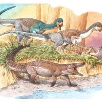 Revelan la existencia de un cocodrilo terrestre prehistórico que vivió junto al Lago General Carrera y fue contemporáneo al Chilesaurio