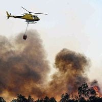 Gobierno anuncia estudio para otorgar pensión de gracia a madre de bombero fallecido en combate a incendios forestales