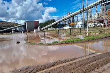 Arauco suspende indefinidamente operaciones de planta de celulosa en Licantén