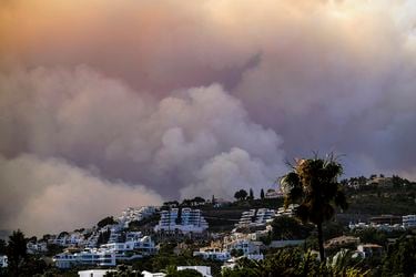 Incendio forestal obliga a evacuar a 2.000 personas en sur de España