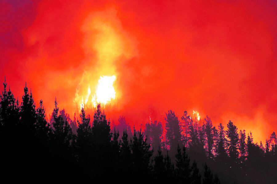 BACHELET NO DESCARTA INTENCIONALIDAD EN LOS INCENDIOS FORESTALES