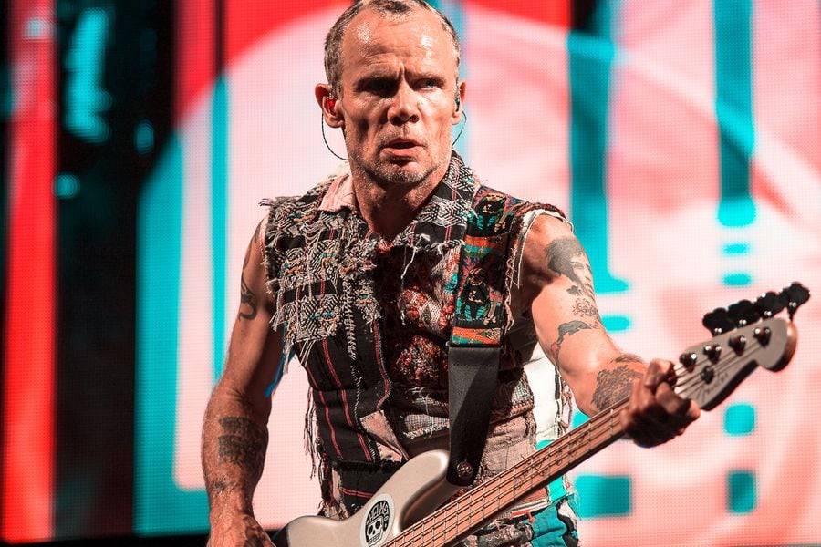 flea