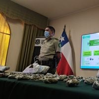 Carabineros detiene a tres sujetos por tráfico de drogas en Temuco