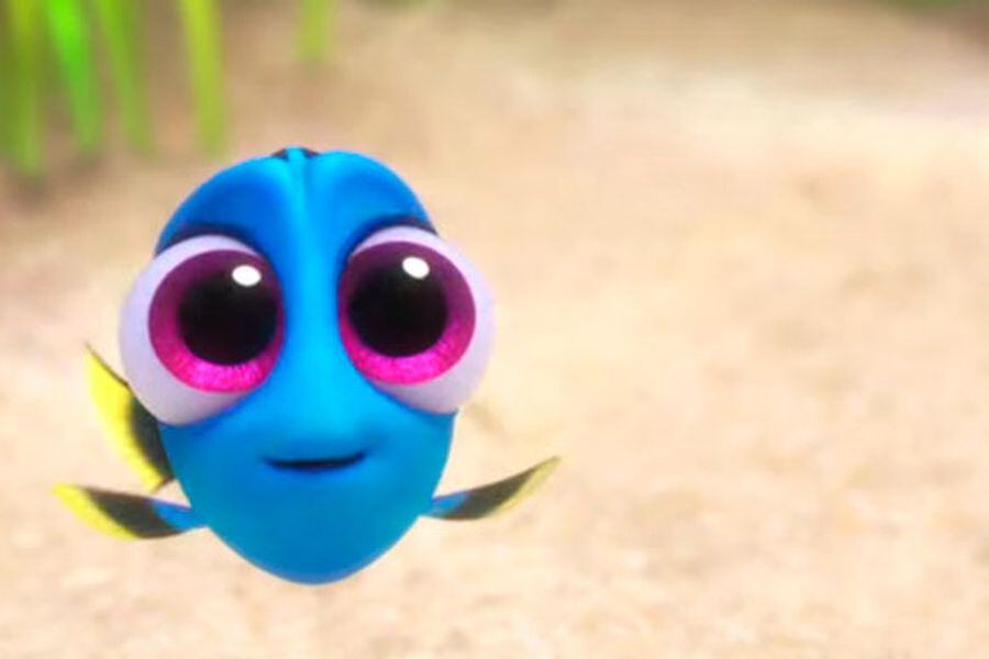 buscando a dory