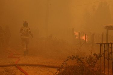 QUILPUE: Incendio forestal en Lago Peñuelas