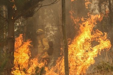 Declaran alerta roja para Galvarino y Carahue por incendios forestales que afecta cerca de 10 hectáreas