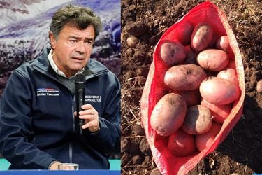 Gremios empresariales critican al ministro de Agricultura por plantear posible colusión en el mercado de las papas