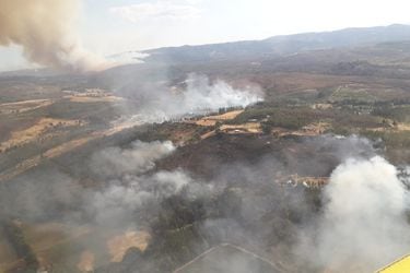 Confirman víctima fatal por incendio forestal en La Araucanía: reformalizarán a imputado por cuasidelito de homicidio