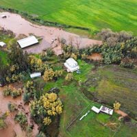 Diputados UDI piden al gobierno creación de un Fogape Agrícola de Emergencia tras lluvias: pérdidas en el sector se estiman en US$ 600 millones 