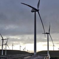 Melón inicia uso de energía 100% renovable en sus operaciones