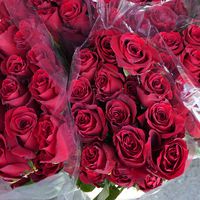 Día de los Enamorados: florerías apuestan a aumentar sus ventas respecto de 2020 pese a la pandemia