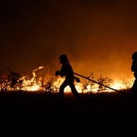 Declaran alerta amarilla en Freirina por incendio forestal que amenaza a sectores poblados
